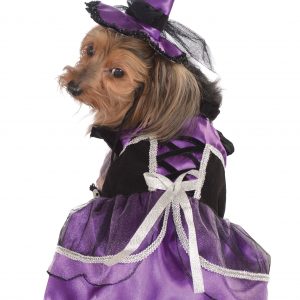 Purple Witch Pet Costume