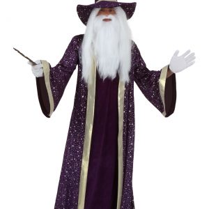 Purple Wizard Costume for Men