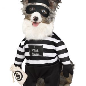 Robber Pup Costume for Pets
