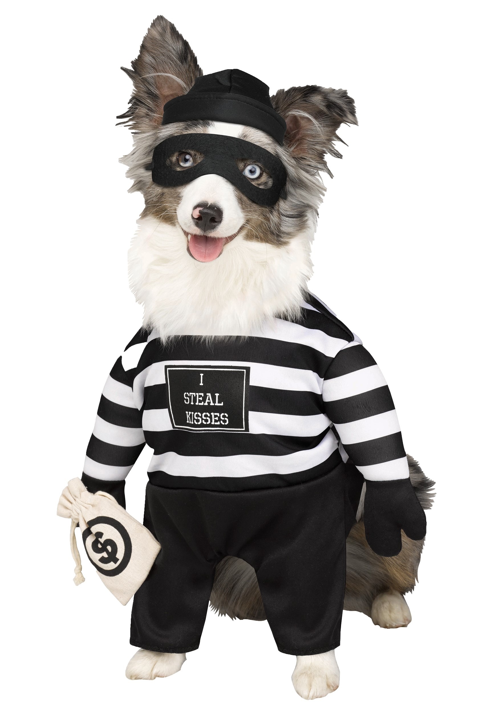 Robber Pup Costume for Pets