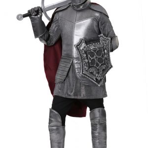 Royal Knight Plus Size Costume for Men