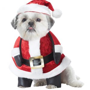 Santa Pup Dog Costume