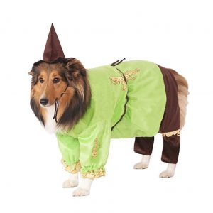 Scarecrow Costume for Pets