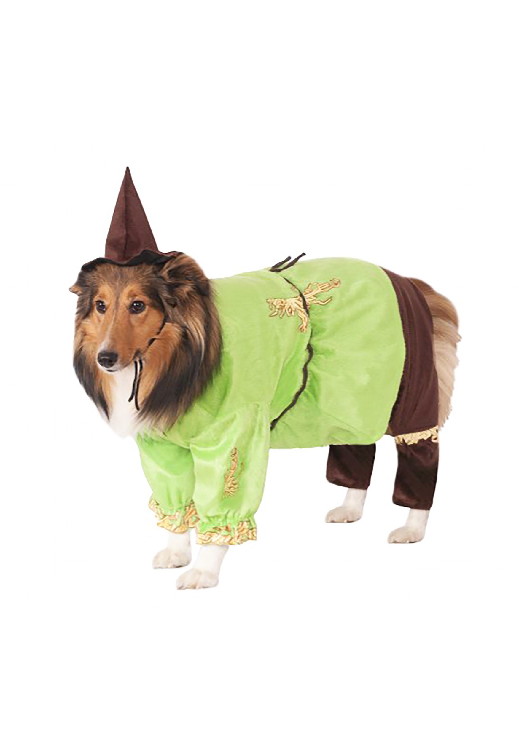 Scarecrow Costume for Pets