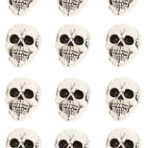 Set of 12 Large Skulls Prop