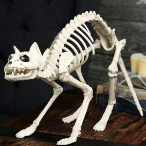 Skeleton Cat Halloween Decoration