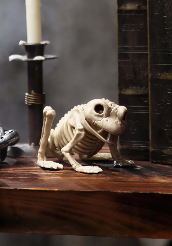 Skeleton Frog Halloween Decoration