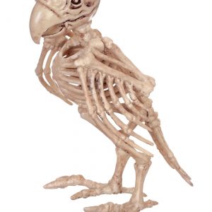 Skeleton Parrot Halloween Decoration