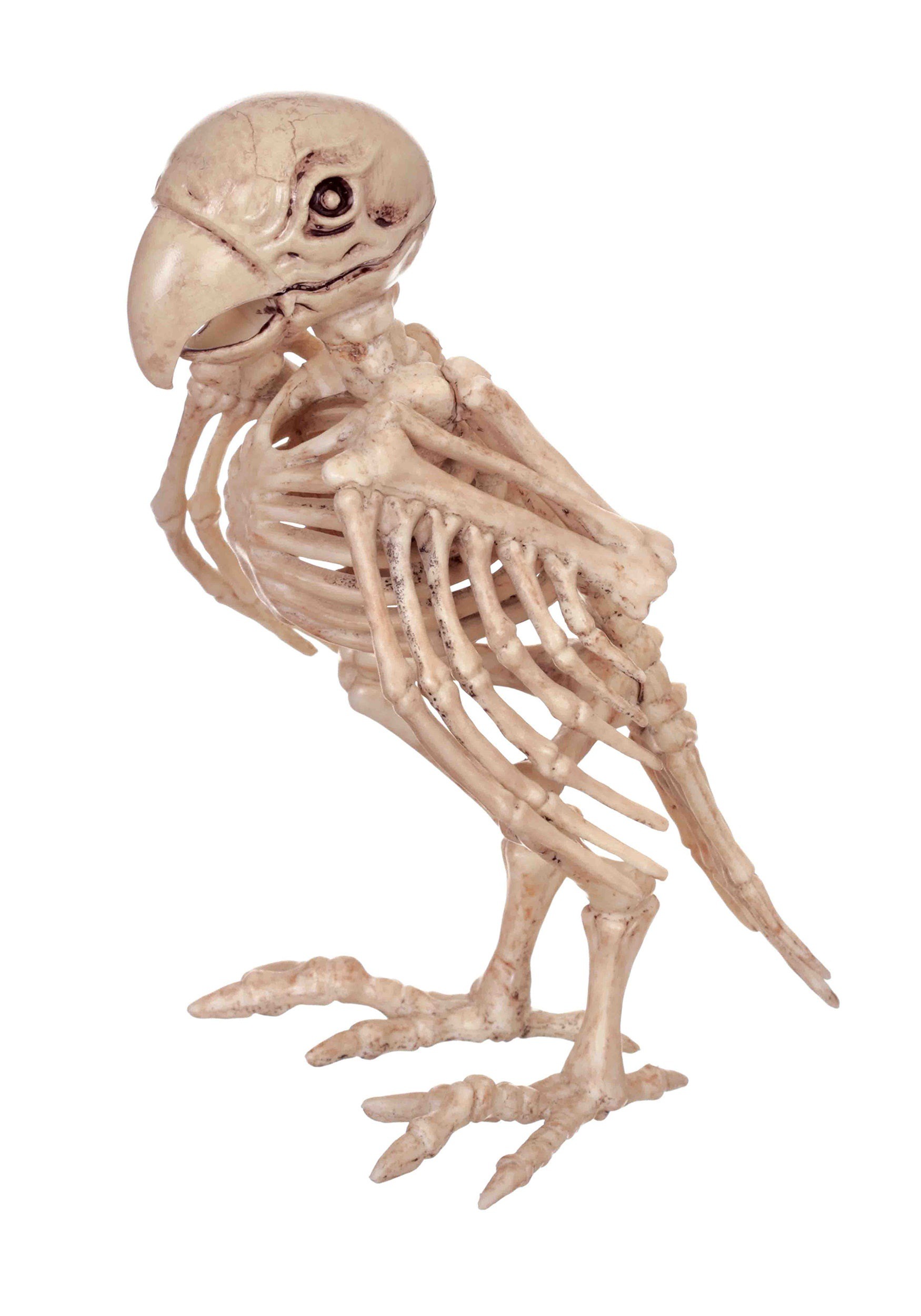 Skeleton Parrot Halloween Decoration