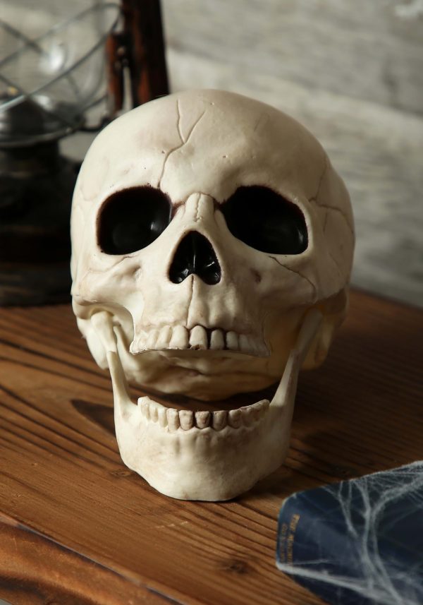Skull with Movable Jaw Halloween Decoration