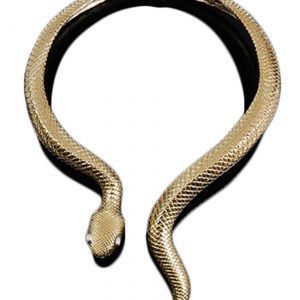 Snake Hinged Choker Necklace for Women