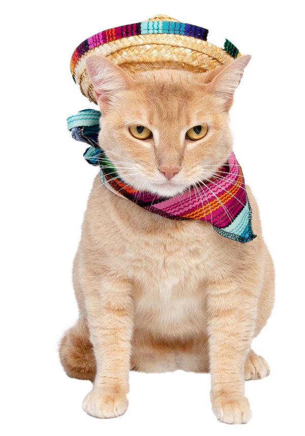 Sombrero & Bandana Pet Costume Set