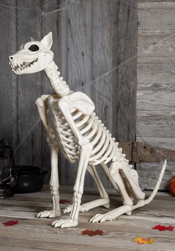 Spike the Skeleton Dog Halloween Decoration