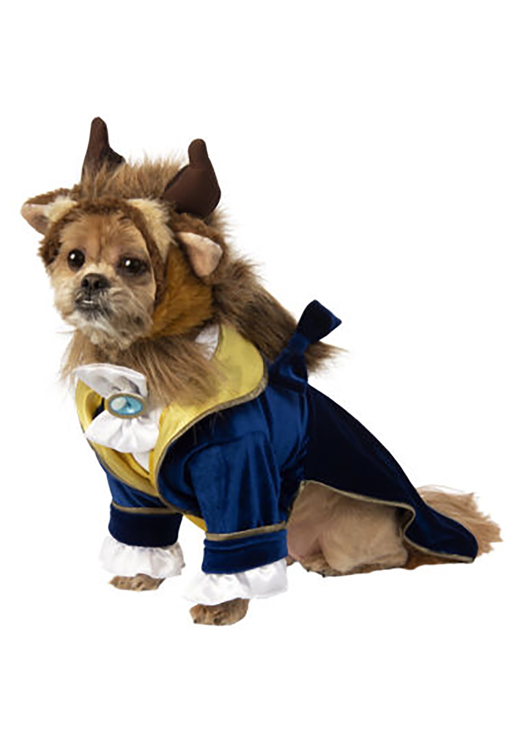 The Beast Dog Costume