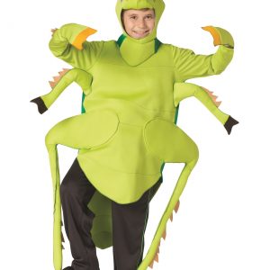 The Kids Grasshopper Costume