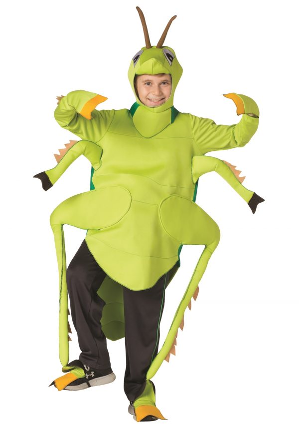 The Kids Grasshopper Costume