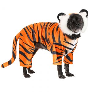 Tiger Dog Costume