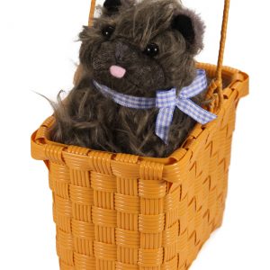 Toto in the Basket