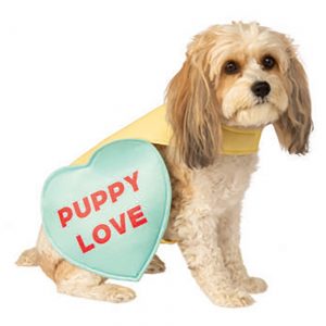 Valentine Candy Sweet Heart Dog Costume