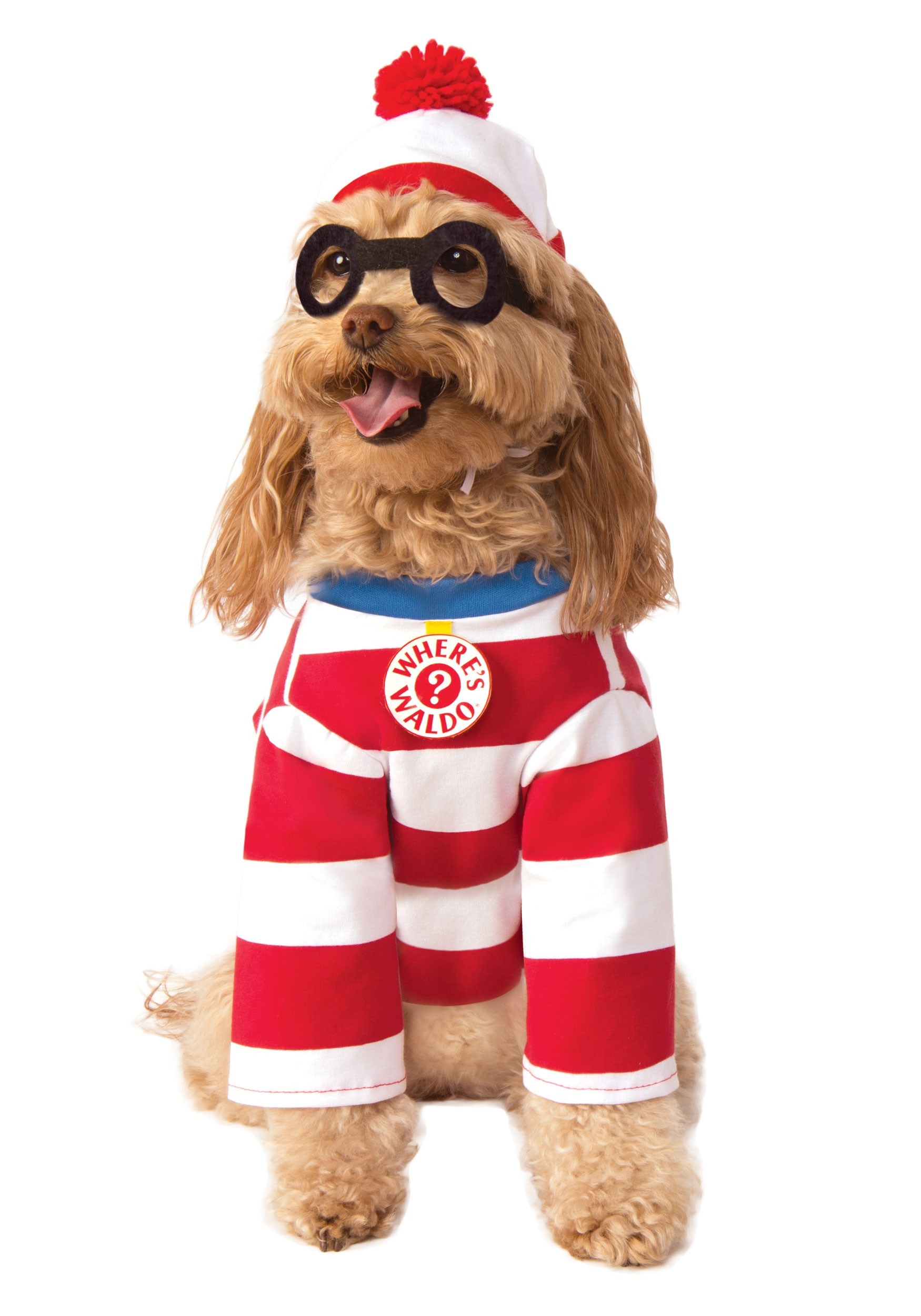 Where’s Waldo Pet Costume