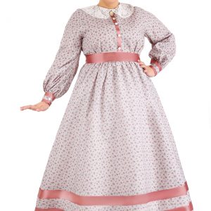 Women's Plus Size Civil War Dress Costume