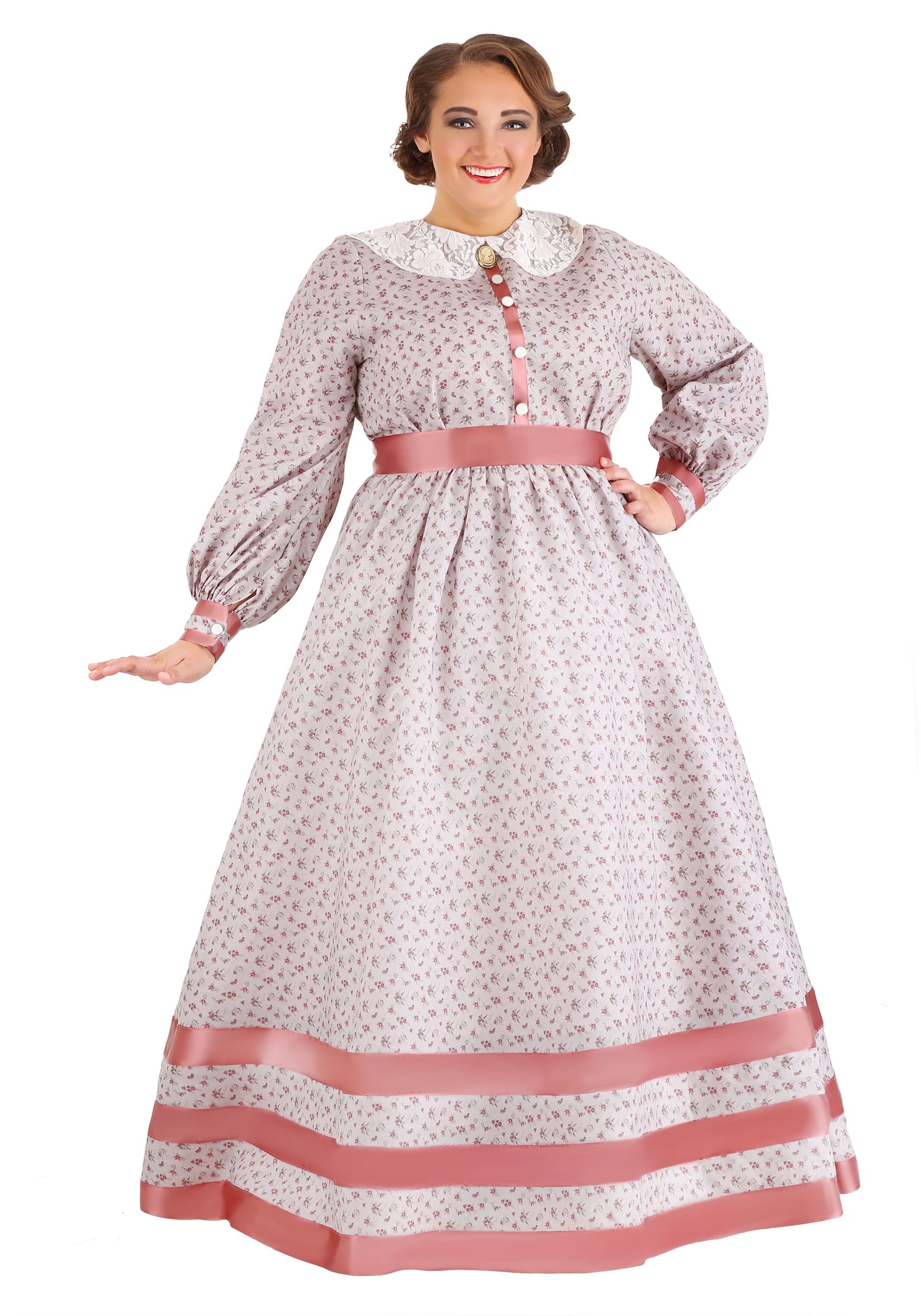 Women’s Plus Size Civil War Dress Costume