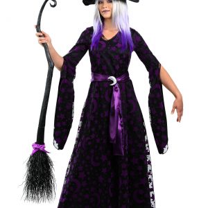 Women's Plus Size Purple Moon Witch Costume